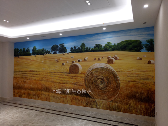 3 (2)����.jpg