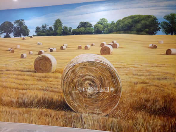 3 (3)����.jpg