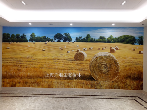 3 (1)����.jpg