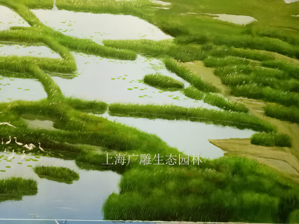 9 (1)����.jpg