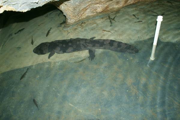 ABUIABACGAAgpJ_gtgUoyt6C6gUw2AQ4kQM.jpg ABUIABACGAAgpJ_gtgUoyt6C6gUw2AQ4kQM.jpg